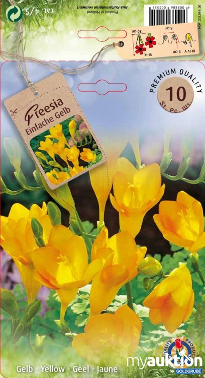 Artikel Nr. 319127 Artikel Nr. 319127: Fressia Einfache Gelb - 3 Packungen zu je 10 Stück