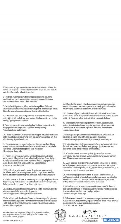 Artikel Nr. 319127 Artikel Nr. 319127: Fressia Einfache Gelb - 3 Packungen zu je 10 Stück