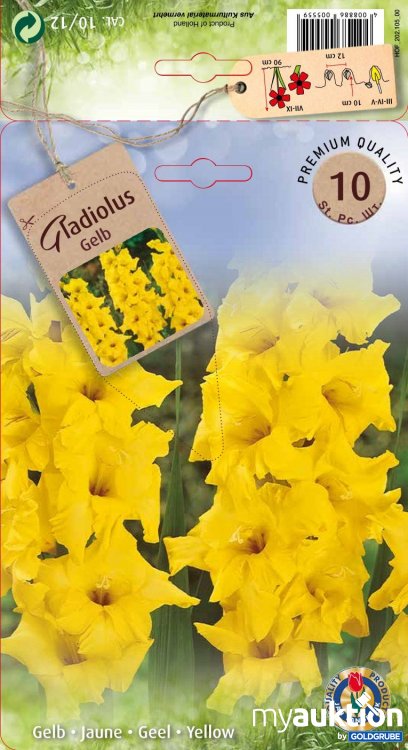 Artikel Nr. 319128: Gladiolen Gelb - 2 Packungen zu je 10 Stück