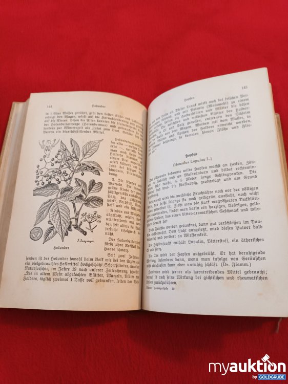 Artikel Nr. 923128: Buch von 1939, Hausapotheke 