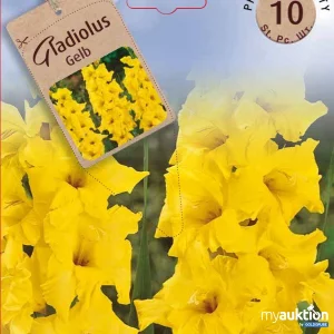 Auktion Gladiolen Gelb - 2 Packungen zu je 10 Stück