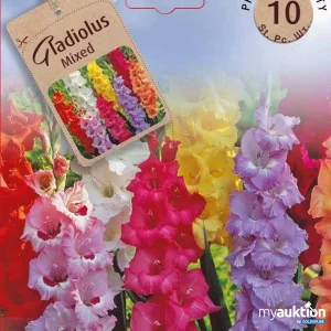 Artikel Nr. 319129: Gladiolen Mix - 2 Packungen zu je 10 Stück