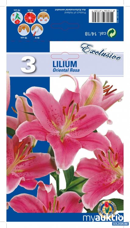 Artikel Nr. 319132 Artikel Nr. 319132: Lilien Oriental Rosa - 3 Packungen zu je 3 Stück