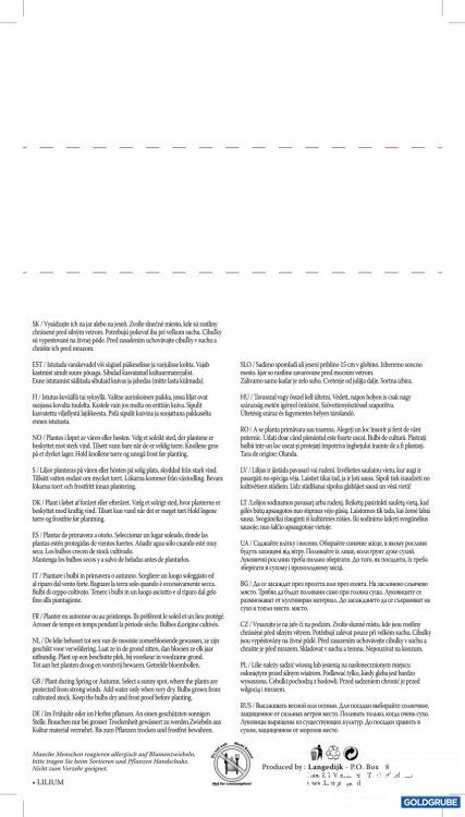 Artikel Nr. 319132 Artikel Nr. 319132: Lilien Oriental Rosa - 3 Packungen zu je 3 Stück