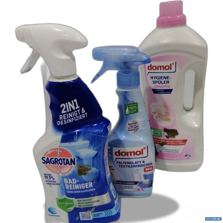 Artikel Nr. 891133: Diverse Reinigungsmittel 
