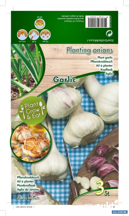 Artikel Nr. 319135 Artikel Nr. 319135: Pflanzknoblauch - 2 Packungen zu je 3 Stück