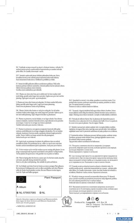 Artikel Nr. 319135 Artikel Nr. 319135: Pflanzknoblauch - 2 Packungen zu je 3 Stück