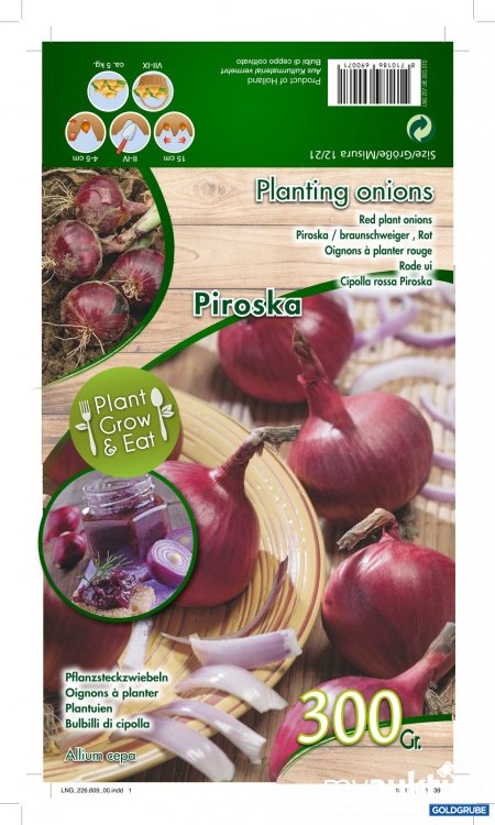 Artikel Nr. 319136 Artikel Nr. 319136: Rote Steckzwiebeln Piroska - 2 Packungen zu je 300g