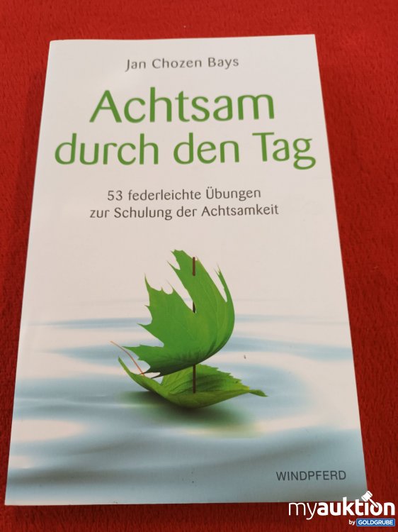 Artikel Nr. 941136 Artikel Nr. 941136: Achtsam durch den Tag