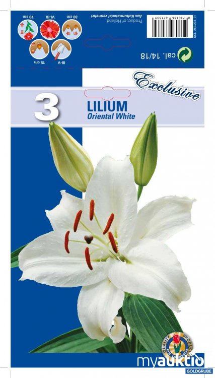 Artikel Nr. 319139: Lilien Oriental Weiß - 3 Packungen zu je 3 Stück