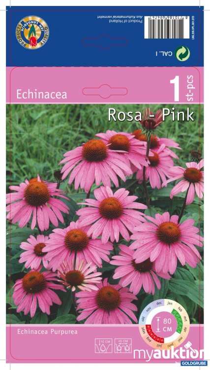 Artikel Nr. 354139: Echinacea Purpurea Rosa (1Stk./Netz)