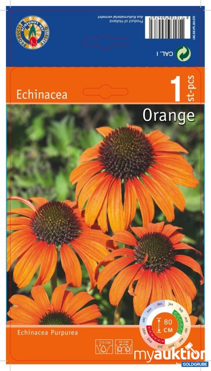 Artikel Nr. 354140: Echinacea Purpurea Orange (1Stk./Netz)