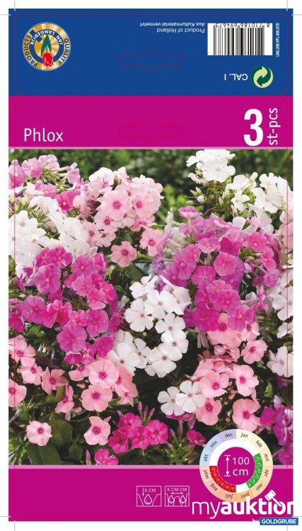 Artikel Nr. 354141: Phlox paniculata (3Stk./Netz)