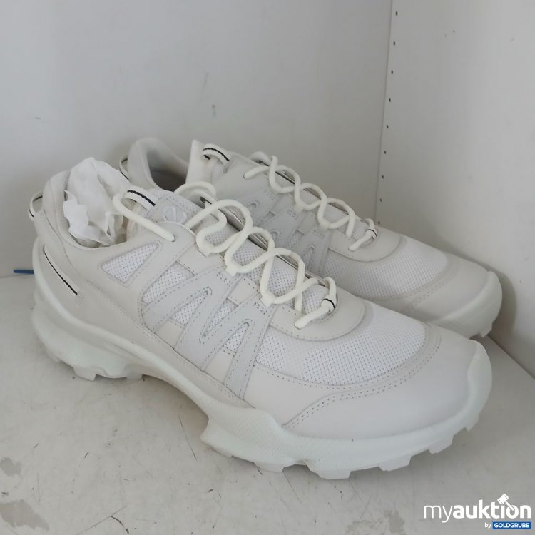 Artikel Nr. 954147: ECCO Biom C-Trail M GTX