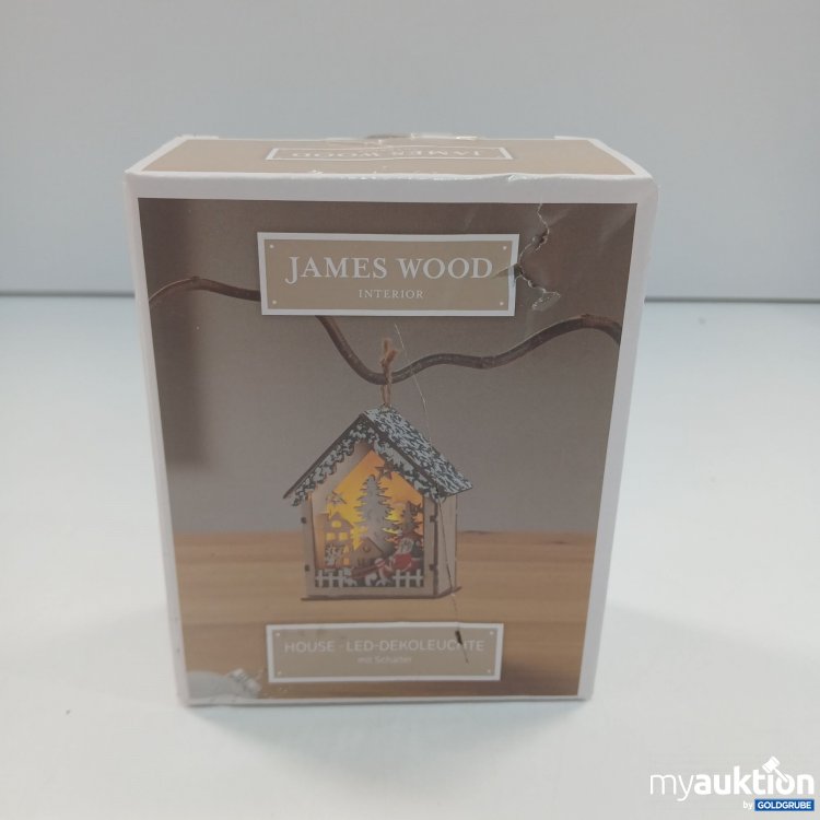 Artikel Nr. 867149: James Wood House LED-Dekoleuchte 