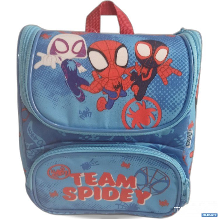 Artikel Nr. 985159 Artikel Nr. 985159: Team Spidey Mini Kinder Rucksack ca. 25x20cm