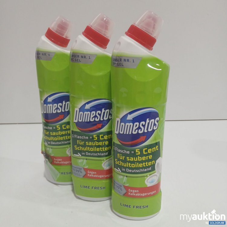 Artikel Nr. 870160 Artikel Nr. 870160: Domestos WC Gel 3x750ml