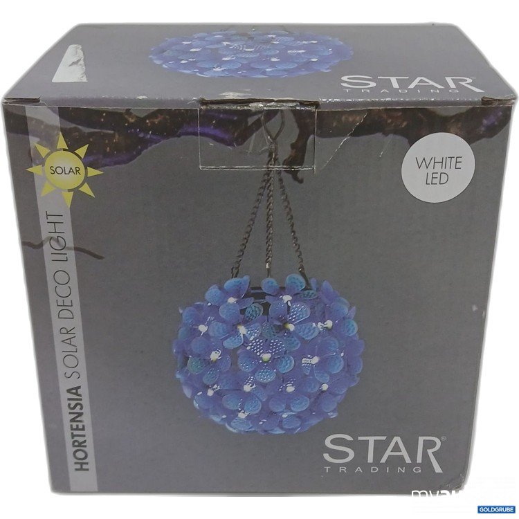 Artikel Nr. 915161: Star Trading Hortensia Solar Deco Light 