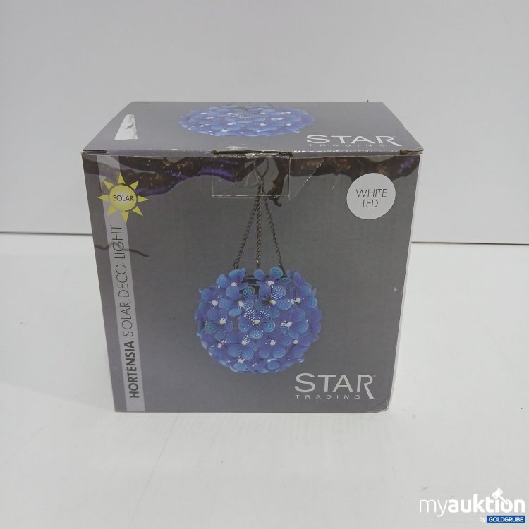 Artikel Nr. 915161: Star Trading Hortensia Solar Deco Light 