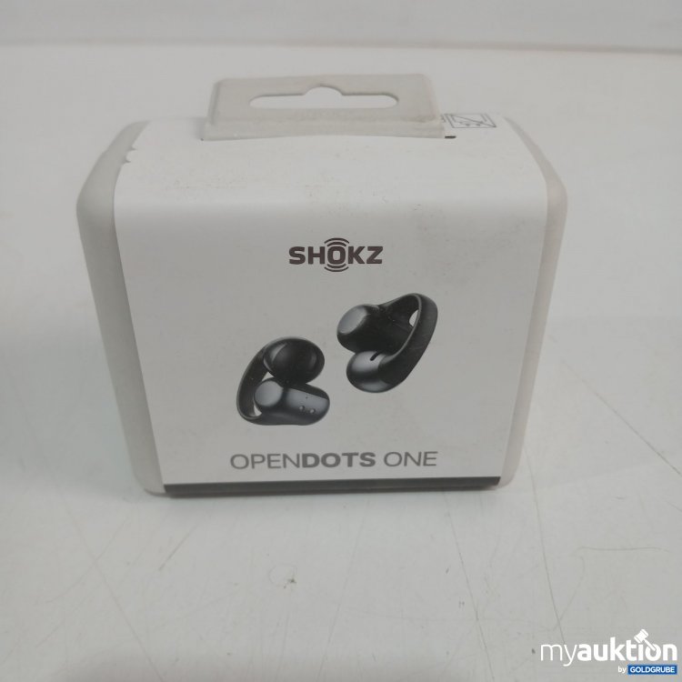 Artikel Nr. 889162: Shokz OpenDots One  Wireless Earbuds 