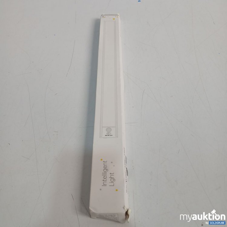 Artikel Nr. 920162 Artikel Nr. 920162: Intelligent Light LED Leuchte