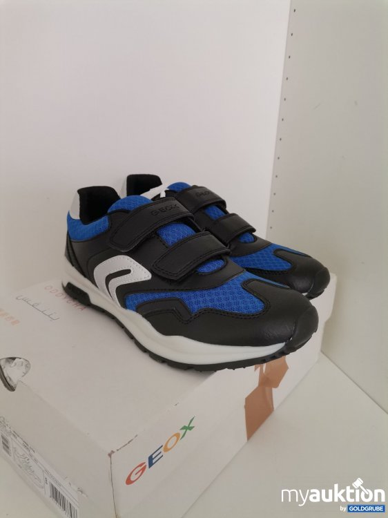 Artikel Nr. 825164 Artikel Nr. 825164: Geox Pavel Sneaker