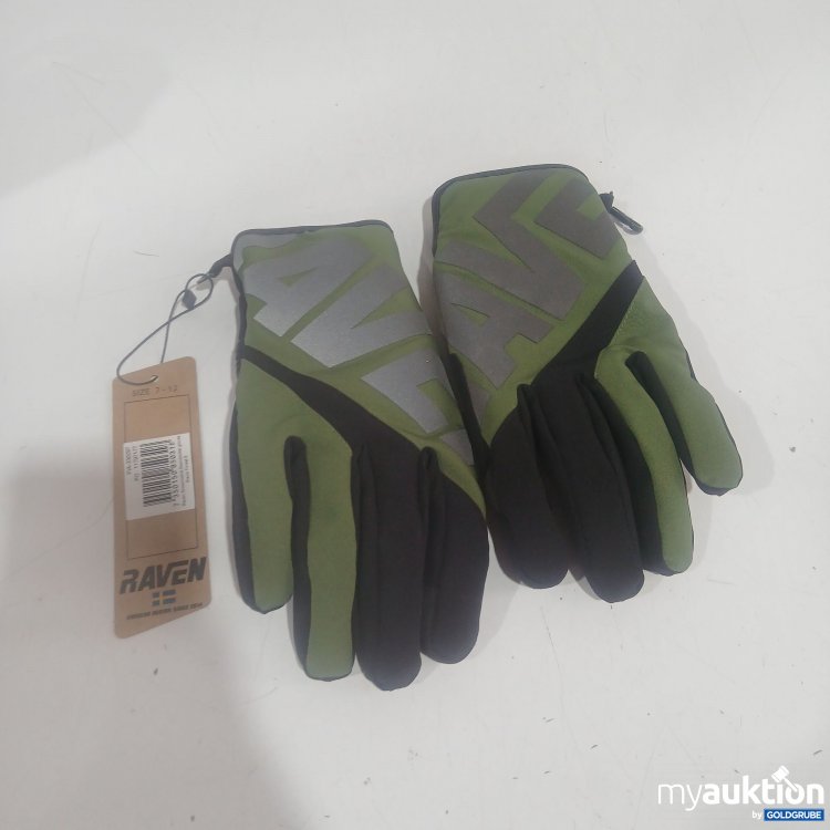 Artikel Nr. 446165 Artikel Nr. 446165: Raven Handschuhe