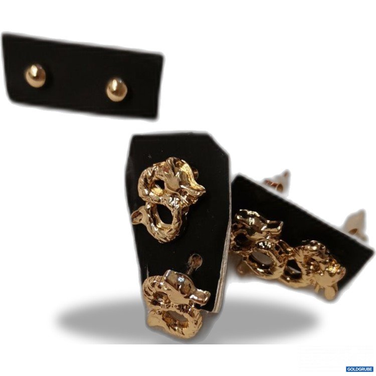 Artikel Nr. 779165: Ohrstecker 