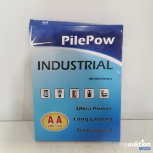 Auktion PilePow Industrielle AA-Batterien