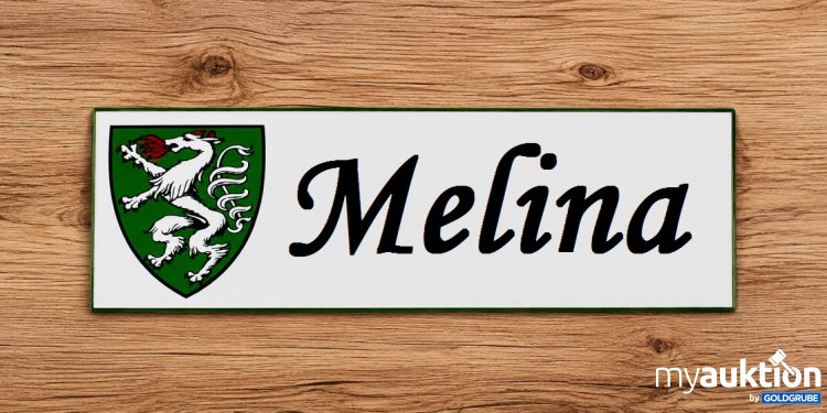 Artikel Nr. 937166: Blechschild 