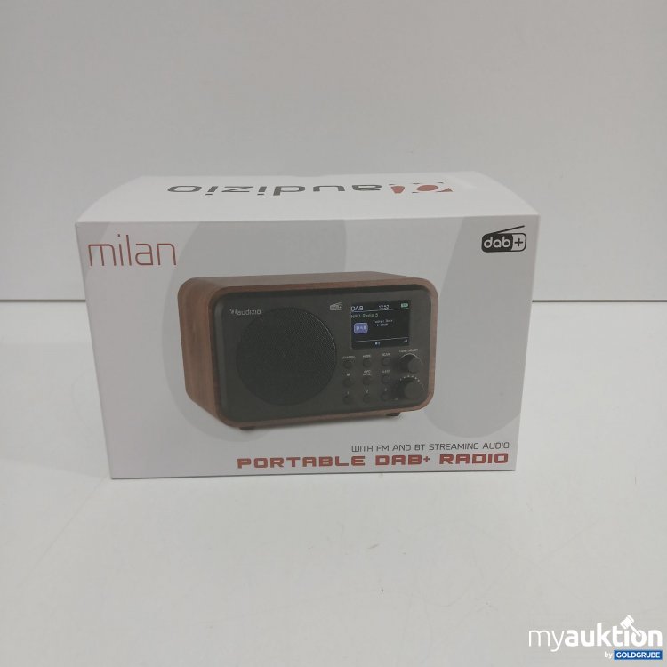 Artikel Nr. 915167: Audizio Milan Portable Dab+ Radio 102.211