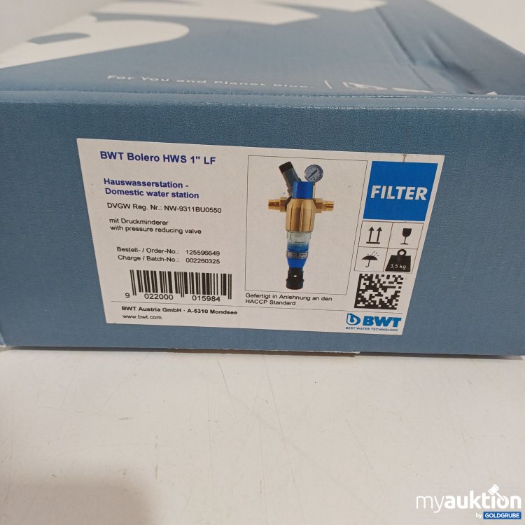 Artikel Nr. 962170: BWT Bolero HWS 1" LF Hauswasserstation mit Druckminderer 