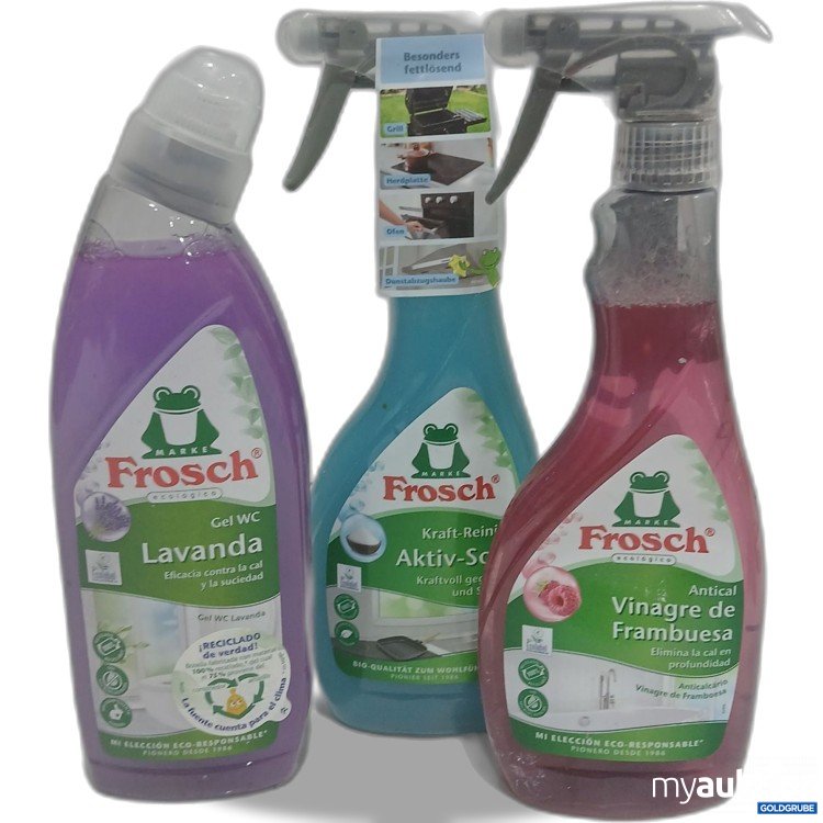 Artikel Nr. 884171: Frosch Diverse Reinigungsbedarf 