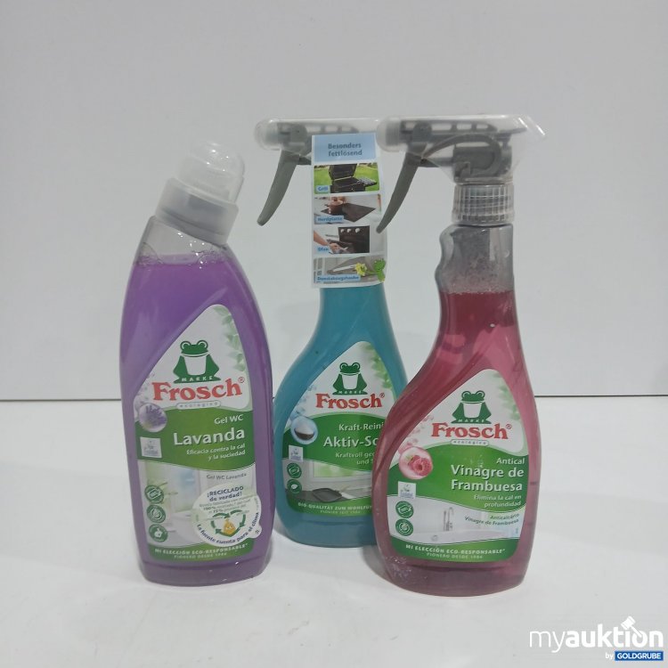 Artikel Nr. 884171: Frosch Diverse Reinigungsbedarf 