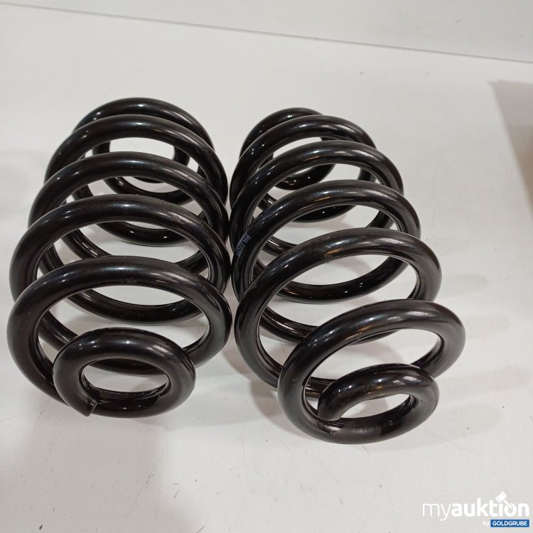 Artikel Nr. 962172: Federn RAL01095 CSH6578 