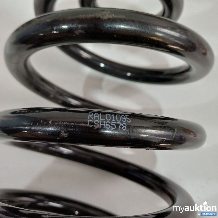 Artikel Nr. 962172: Federn RAL01095 CSH6578 