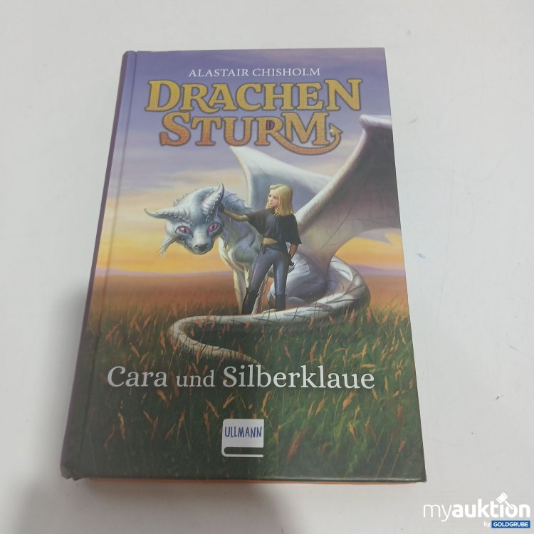 Artikel Nr. 851173 Artikel Nr. 851173: Drachensturm: Cara und Silberklaue