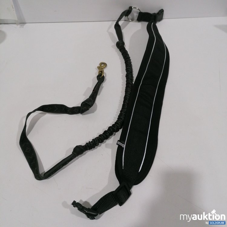 Artikel Nr. 912173: Canicross-Set für großen Hund 