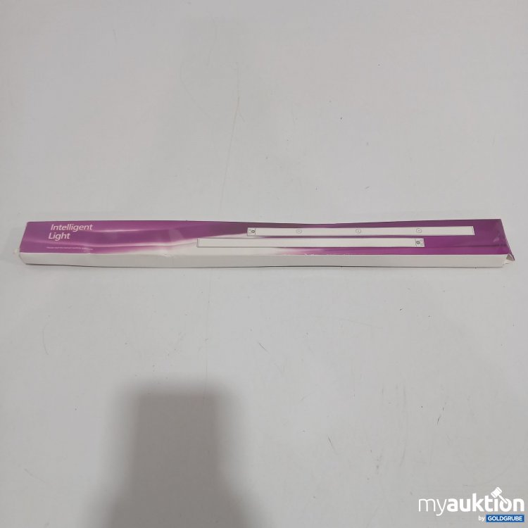 Artikel Nr. 877174: Intelligent Light ca.40cm