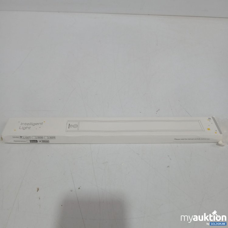 Artikel Nr. 889176 Artikel Nr. 889176: Intelligent Light L1007 Silver