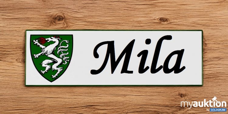 Artikel Nr. 937176: Blechschild 
