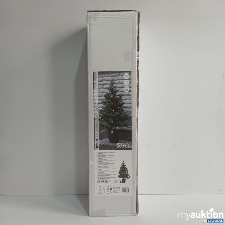Artikel Nr. 447177 Artikel Nr. 447177: STAR Weihnachtsbaum in Topf 90cm 606-79