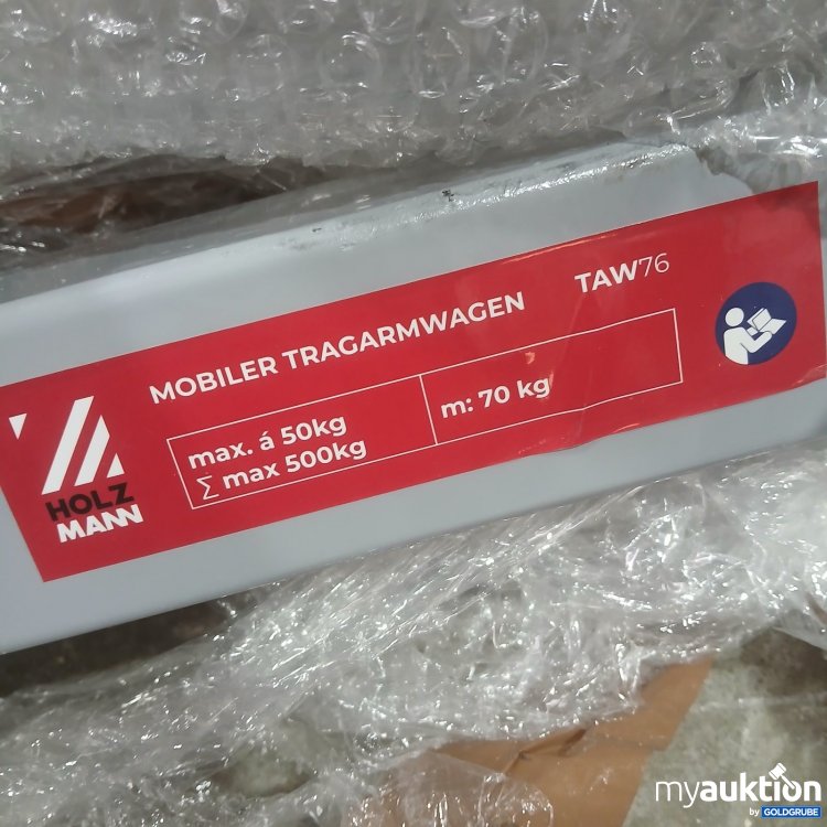 Artikel Nr. 466177 Artikel Nr. 466177: Holzmann mobiler Tragarmwagen TAW76