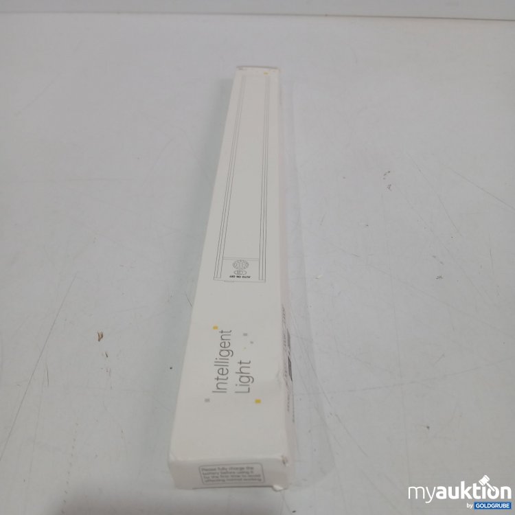 Artikel Nr. 889177 Artikel Nr. 889177: Intelligent Light L1007 Silver