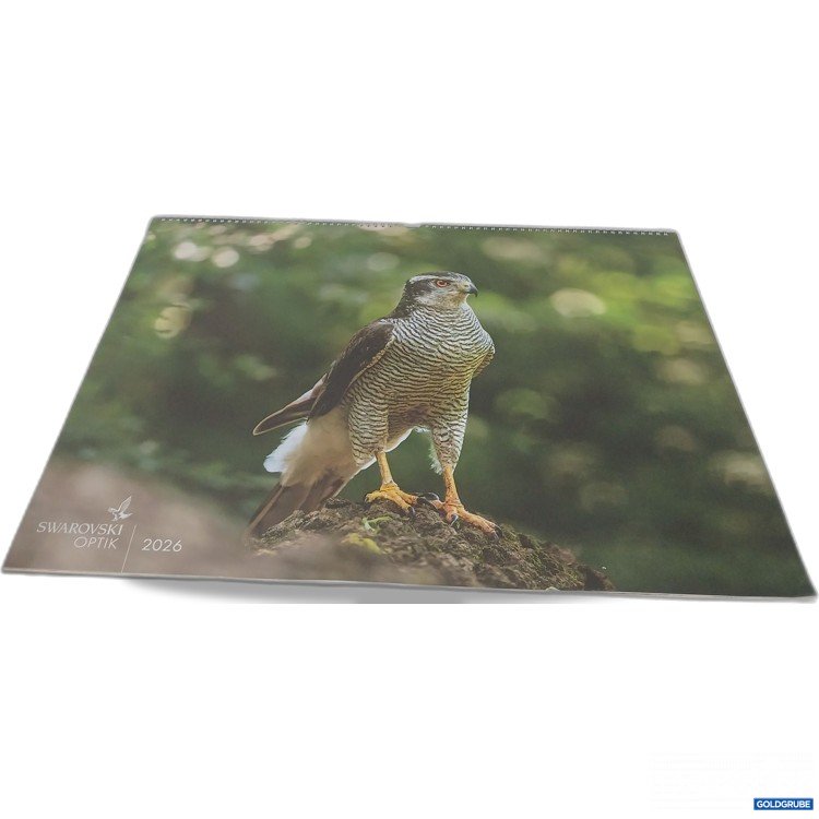 Artikel Nr. 443178: Sawarovski Optik Kalender 2026 ca. 60x45cm 