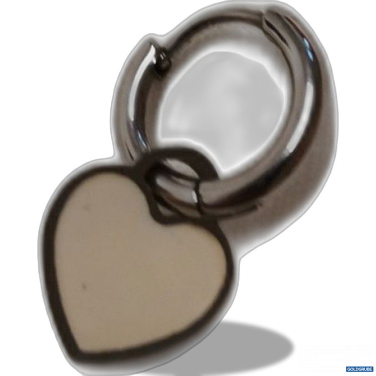 Artikel Nr. 779178: Ohrring stainless steel 
