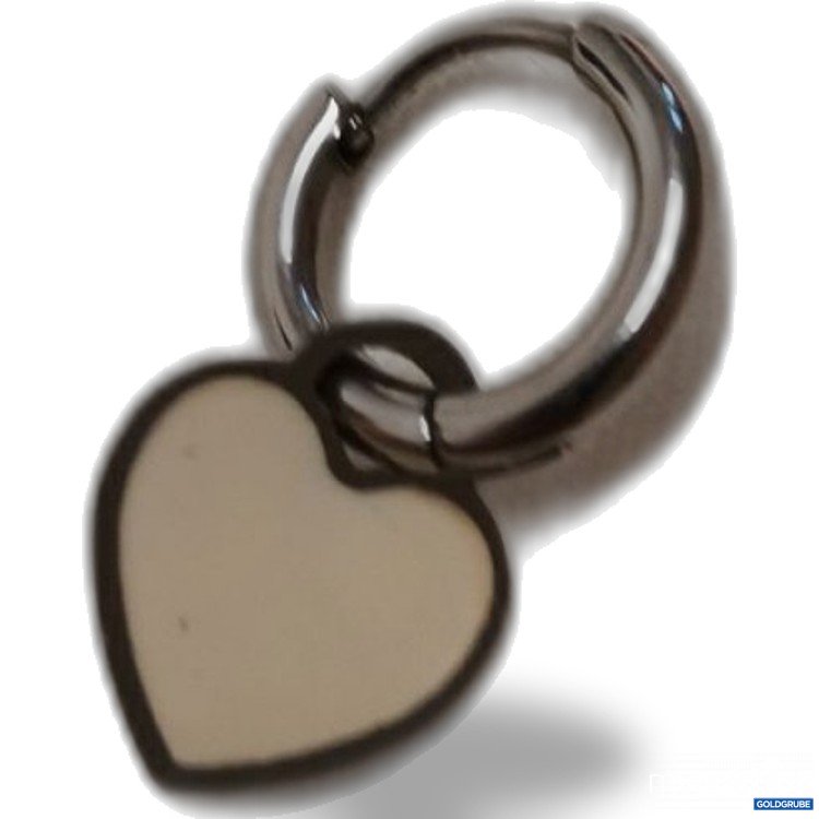 Artikel Nr. 779178: Ohrring stainless steel 