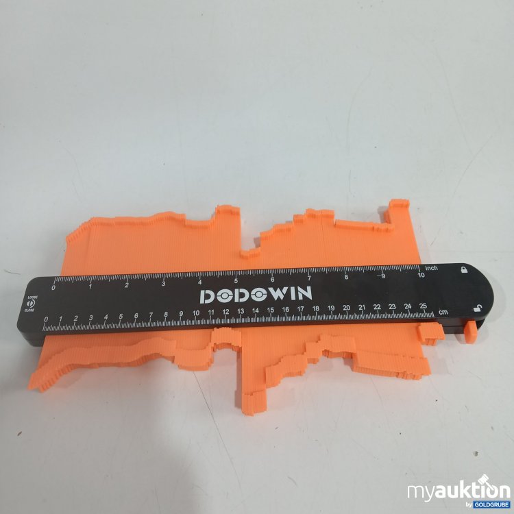 Artikel Nr. 894178: Dodowin Kunturenlehre 