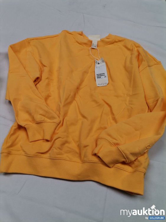 Artikel Nr. 434183 Artikel Nr. 434183: H&M Sweater