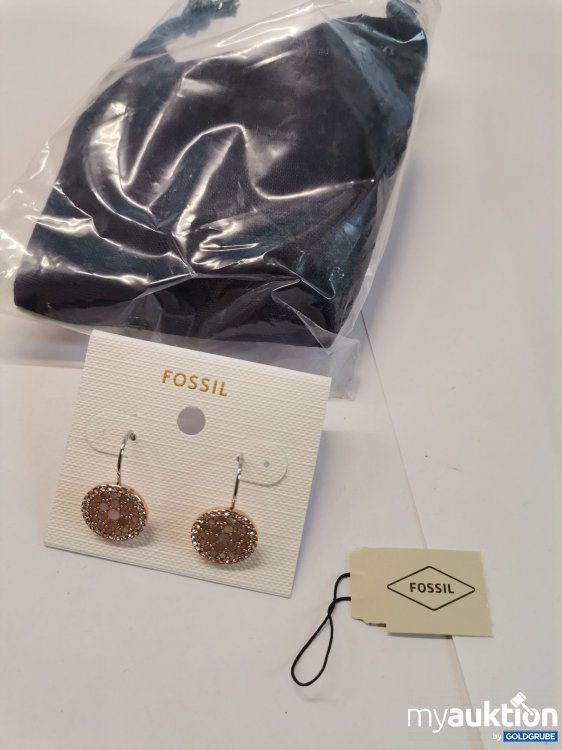 Artikel Nr. 879183: Fossil Ohrringe 